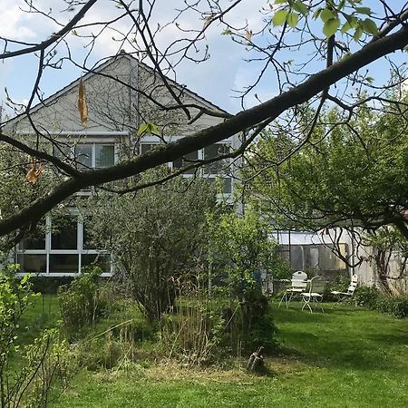 Appartamento Rebenlaub Heringen  Esterno foto